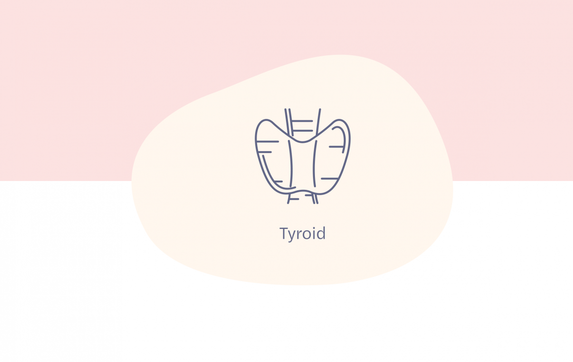 Thyroid Hormones